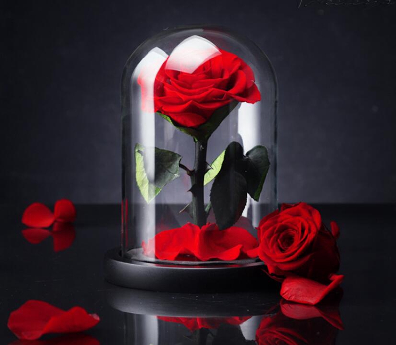 High quality rose dome