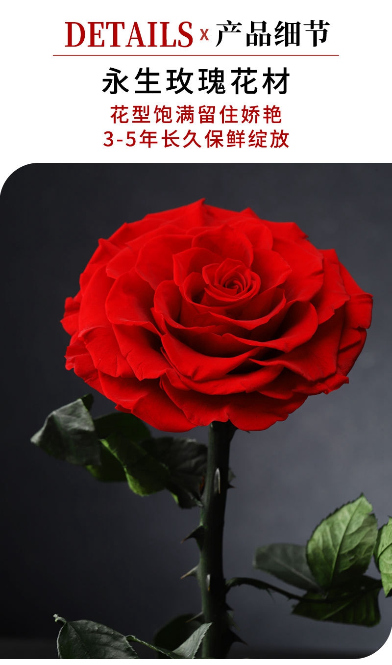 High quality rose dome (7).jpg